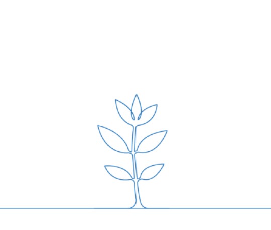 Feature Image