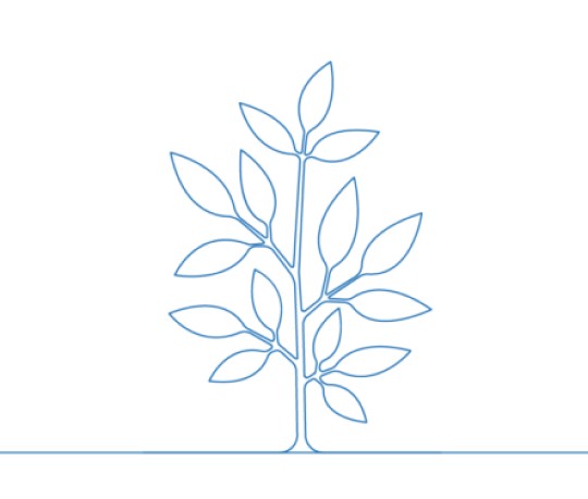 Feature Image