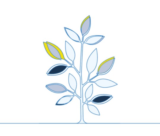Feature Image